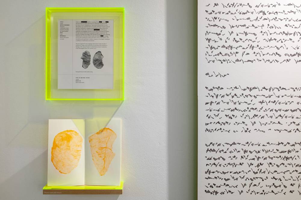 Marianne Hoffmeister Castro. CASTOR typeset. Typeset specimen, beaver-made log and printed publication. Dimensions variable. Hoffmitz Milken Center for Typography, ArtCenter, Pasadena, 2023. Detail.